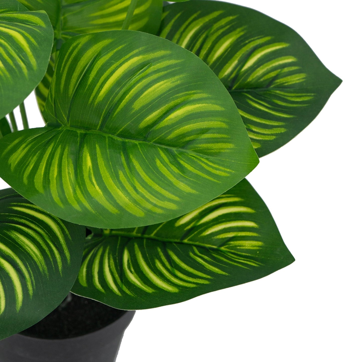 Artificial Calathea Fasciata Plant In Pot