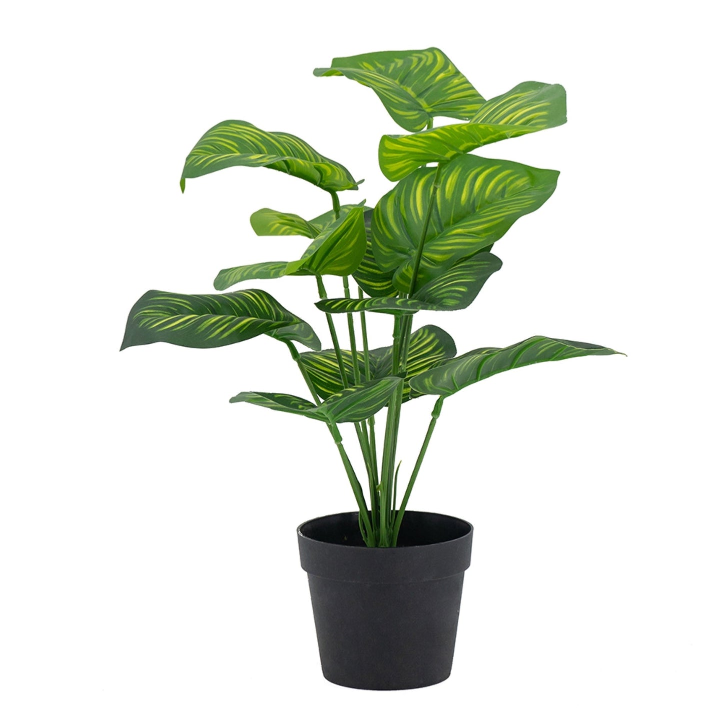 Artificial Calathea Fasciata Plant In Pot
