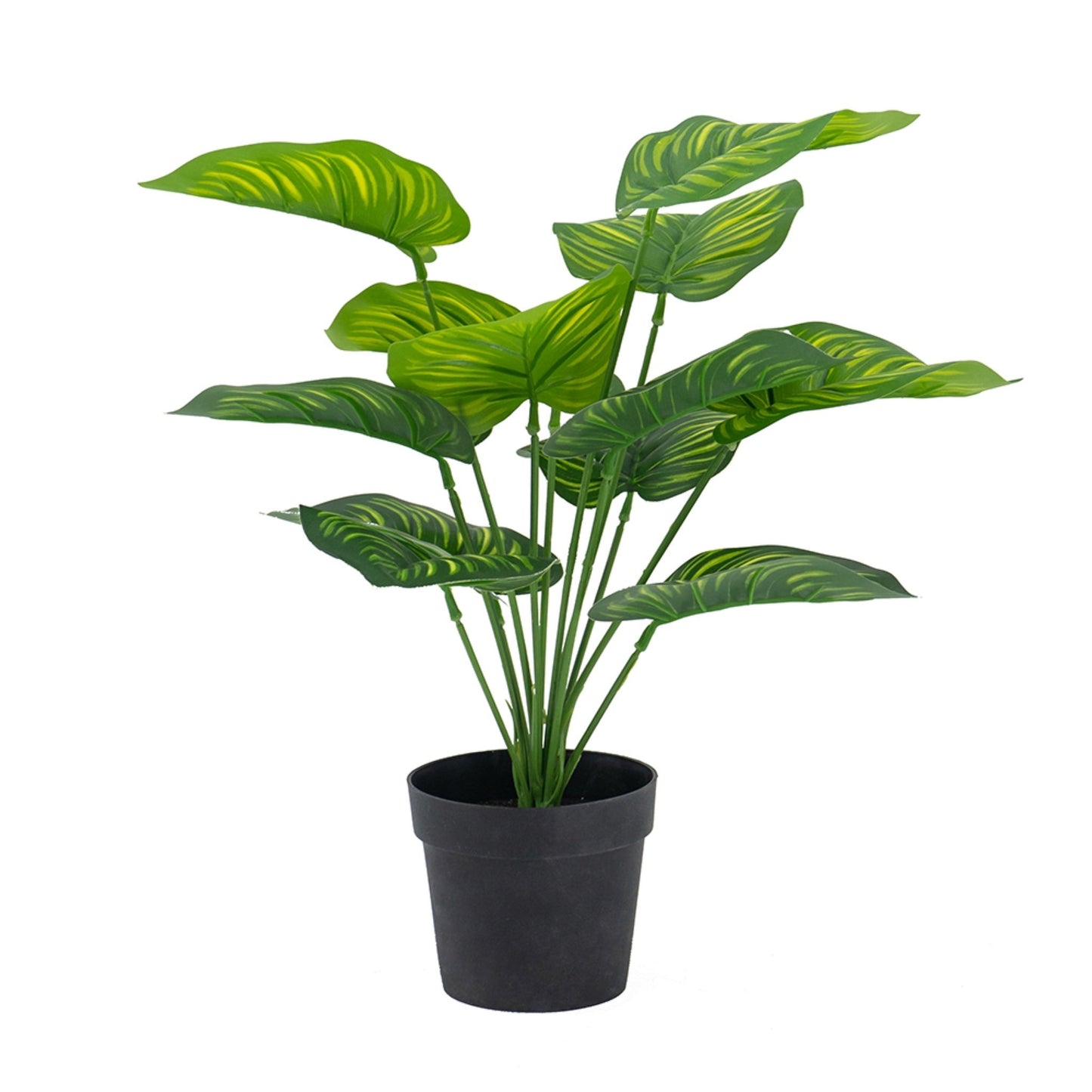 Artificial Calathea Fasciata Plant In Pot