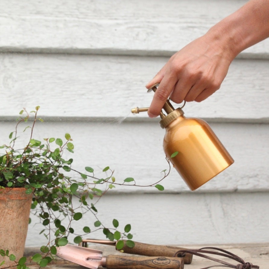 Copper Painted Plant Mister