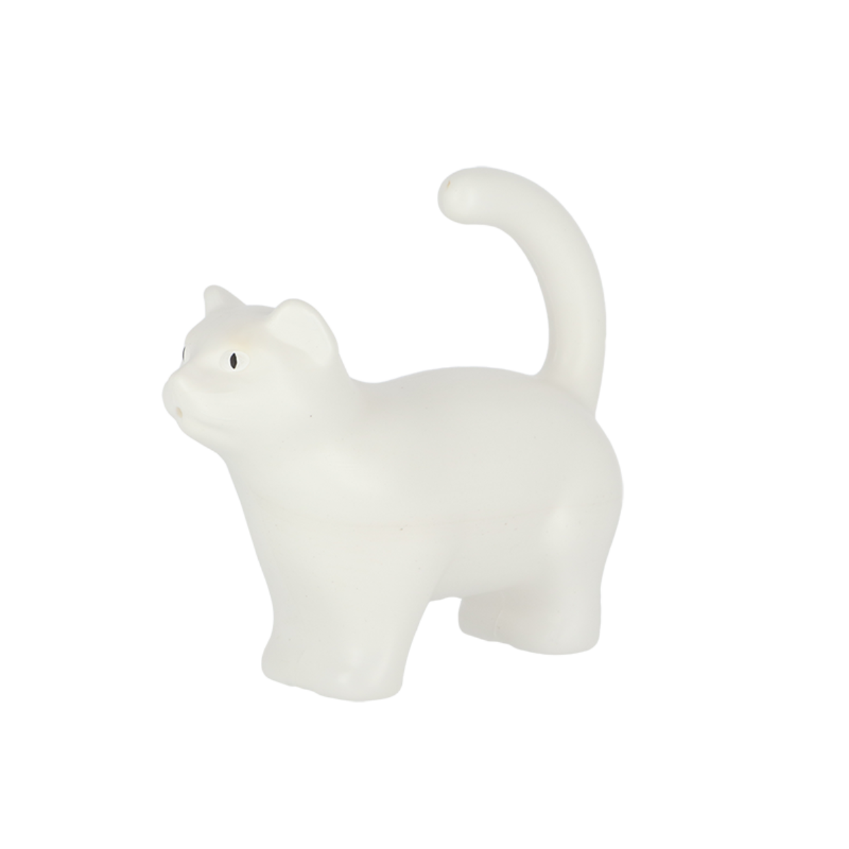 Watering Can Cat S ~ Assorted