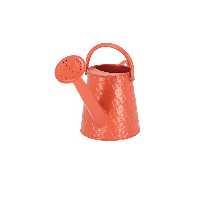 Watering Can Desert Dream S ~ Assorted