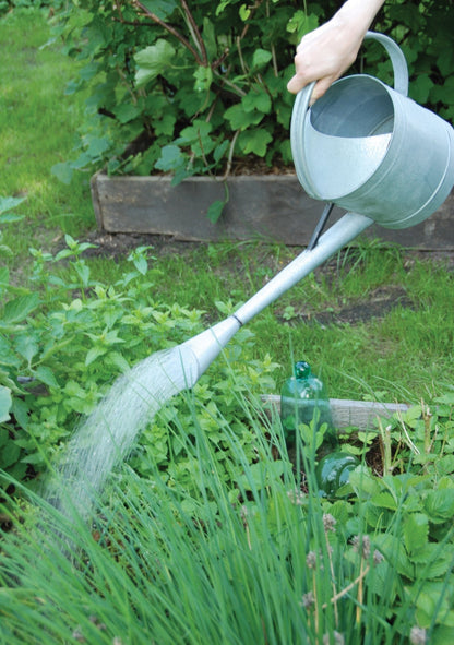 Watering Can Outdoor