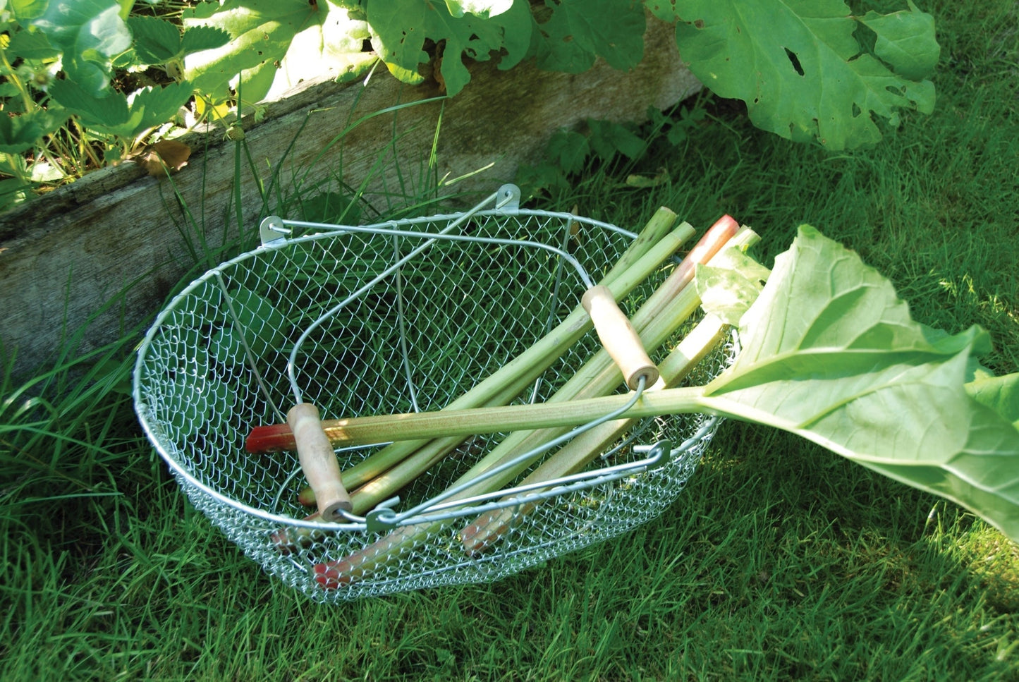 Harvest Basket Set of 3