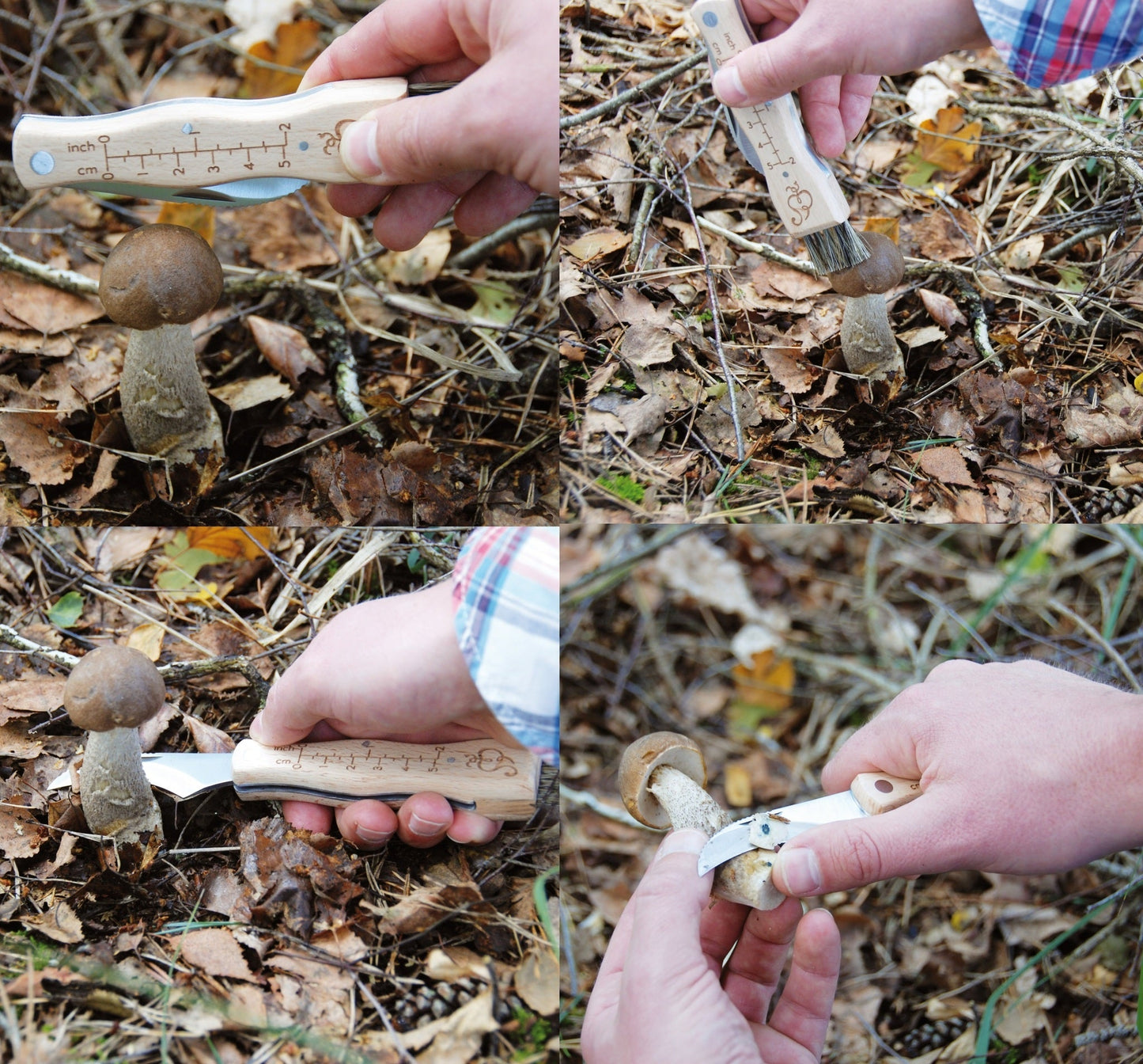 Mushroom Knife
