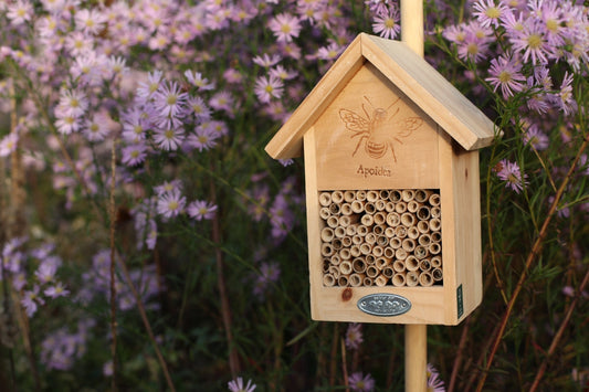 Bee House Silhouette