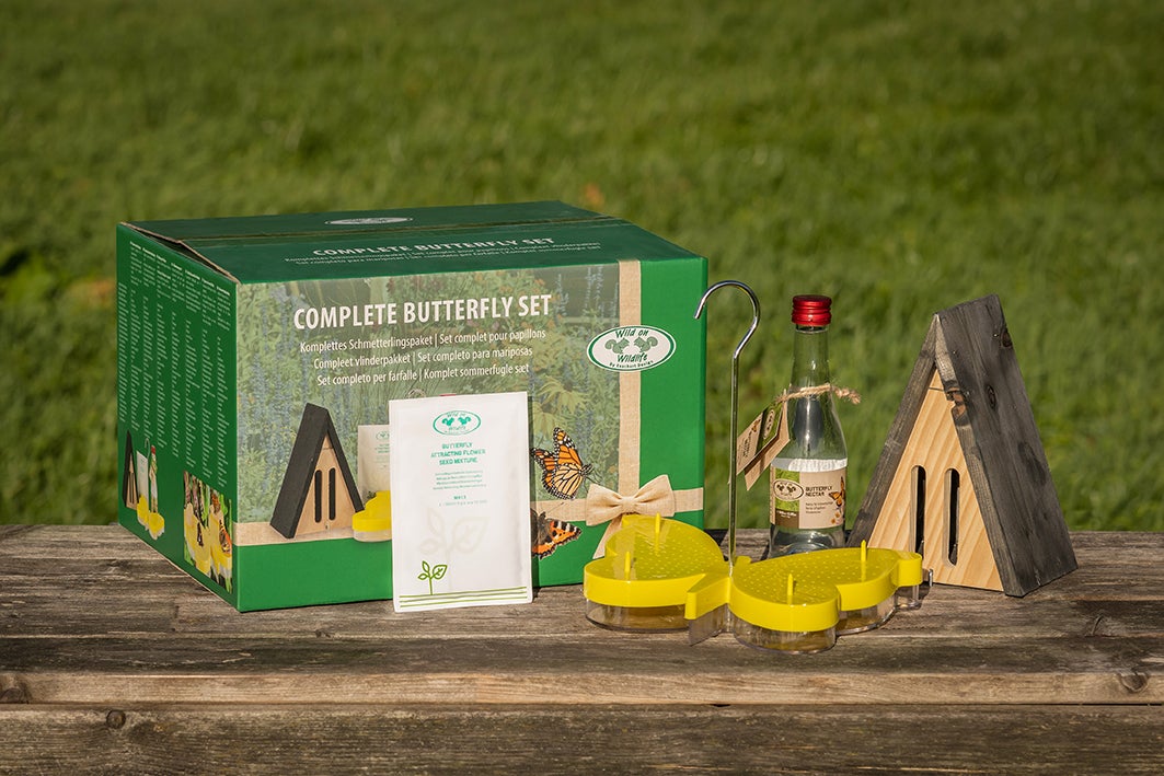 Complete Butterfly Care Set