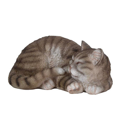 Sleeping Cat