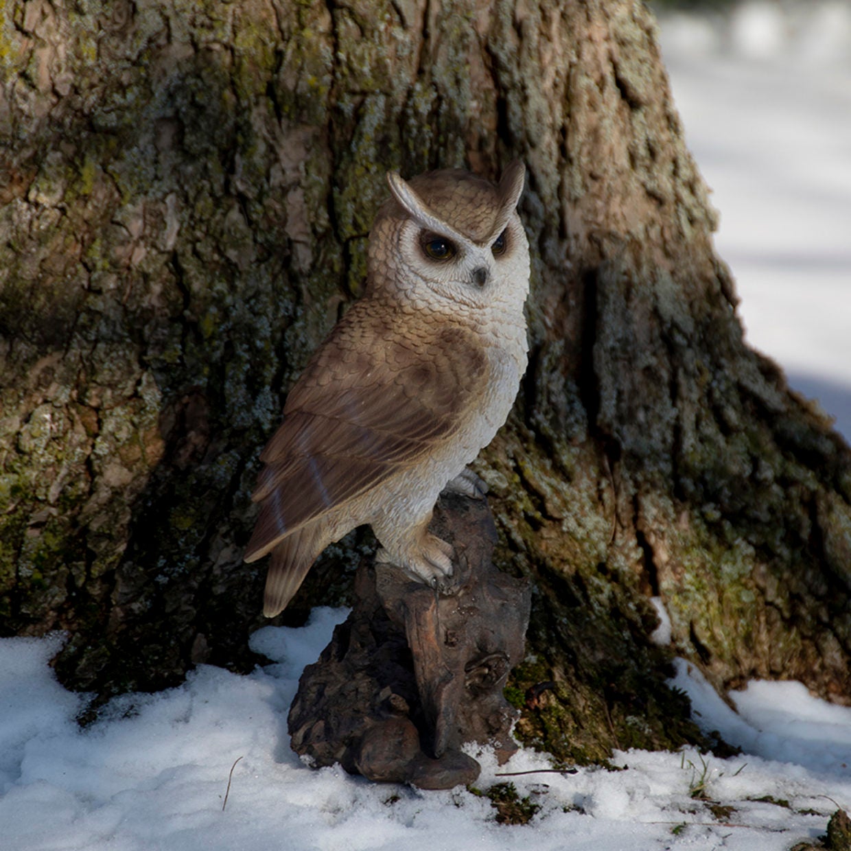 Owl On Trunk L
