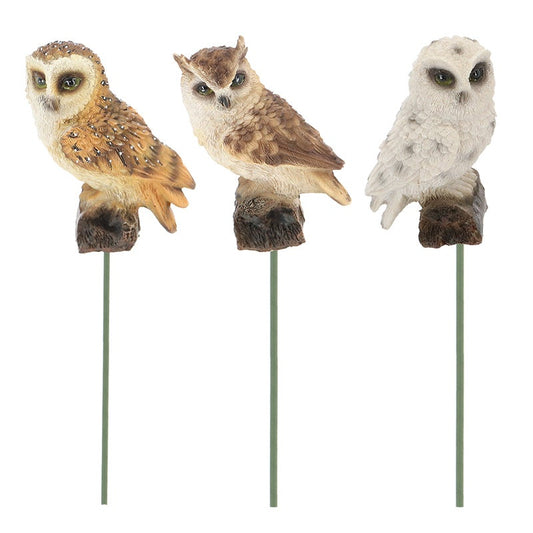 Owl On Pole