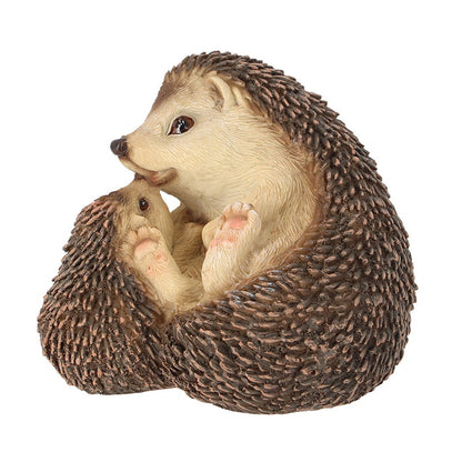 Hedgehog Lying Down With Baby