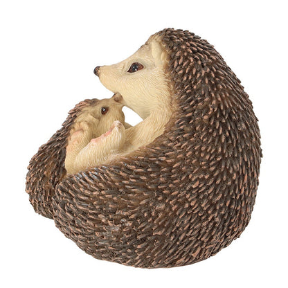 Hedgehog Lying Down With Baby