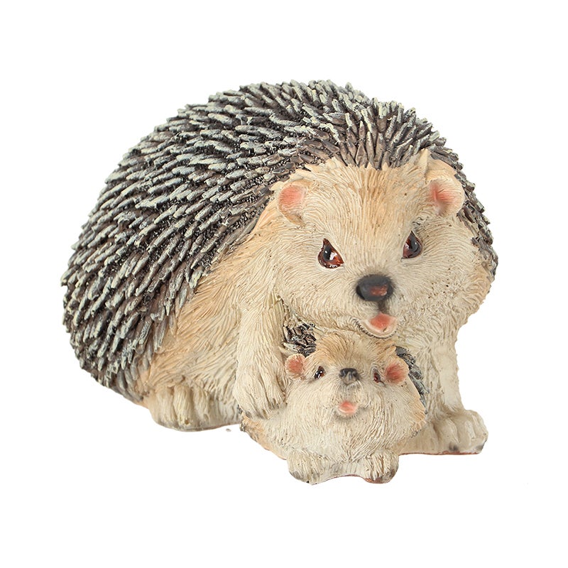 Hedgehog With Baby