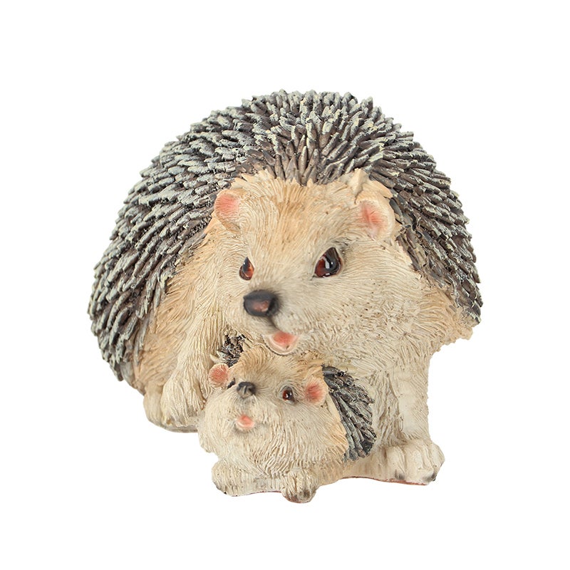 Hedgehog With Baby