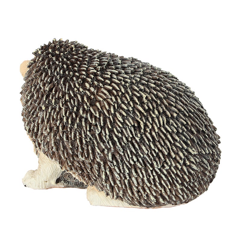 Hedgehog With Baby