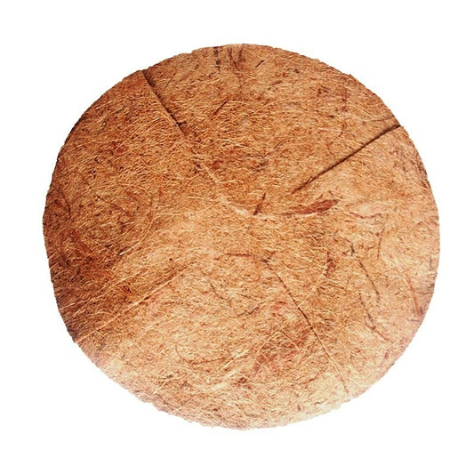 Coir Inlay 35cm (14")