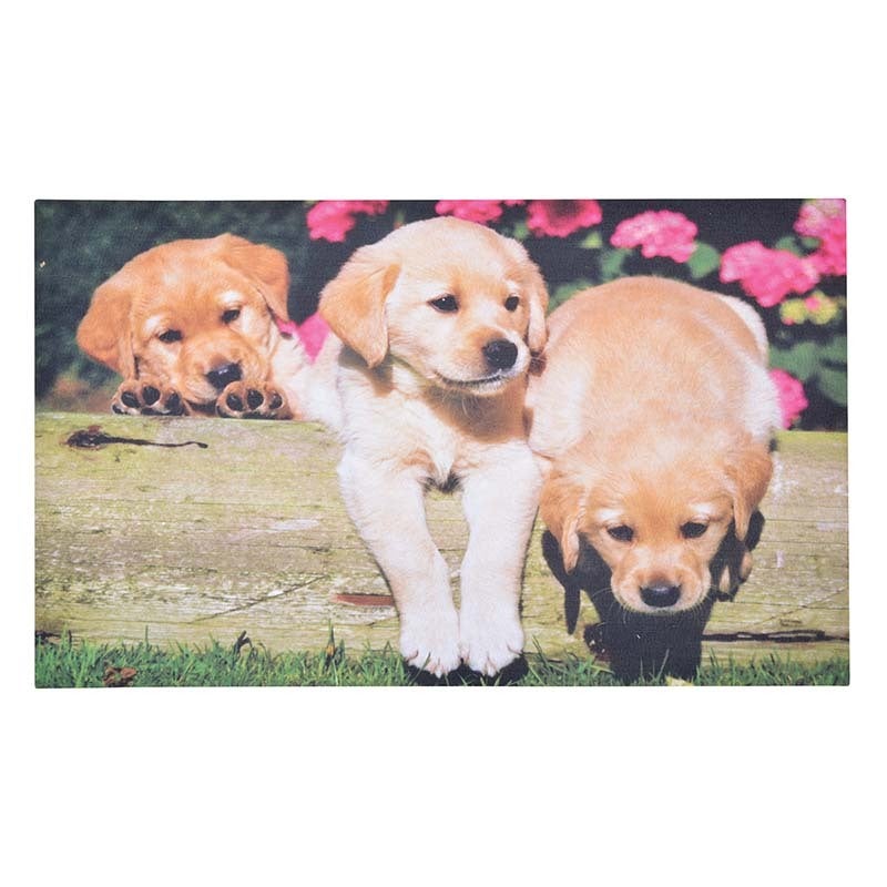 Doormat Puppies