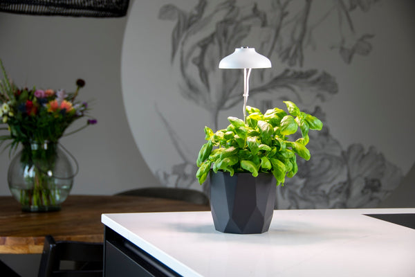 Plant Grow Lamp White