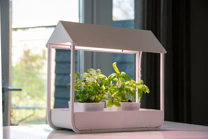 Plant Grow Lamp Greenhouse White