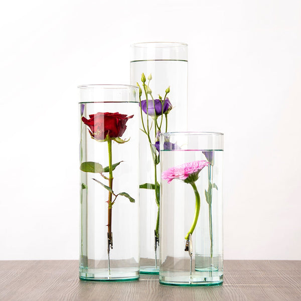 Submerged Flower Vase S