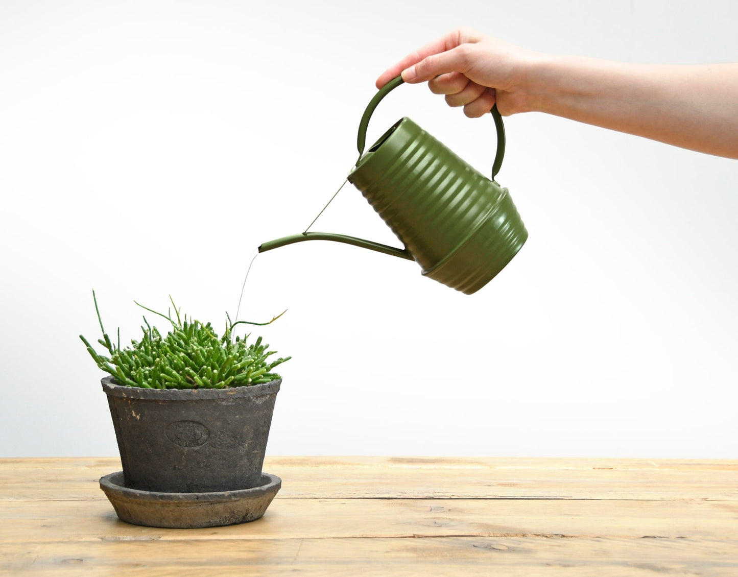 50 Shades of Green Indoor Watering Can