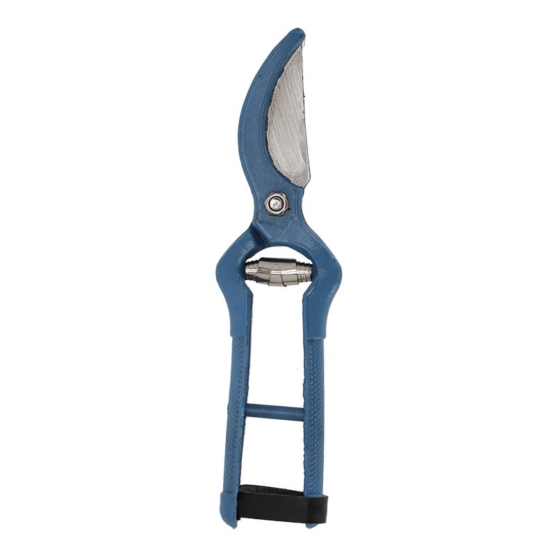 50 Shades of Blue Pruner