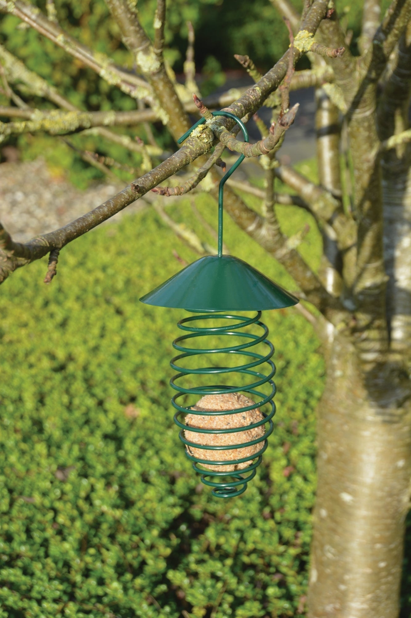 Bird Spring With Roof, Excl. Bird Food