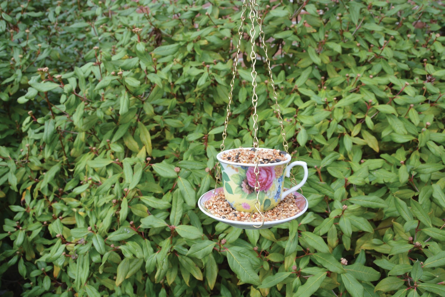 Hanging Teacup Feeder in Giftbox
