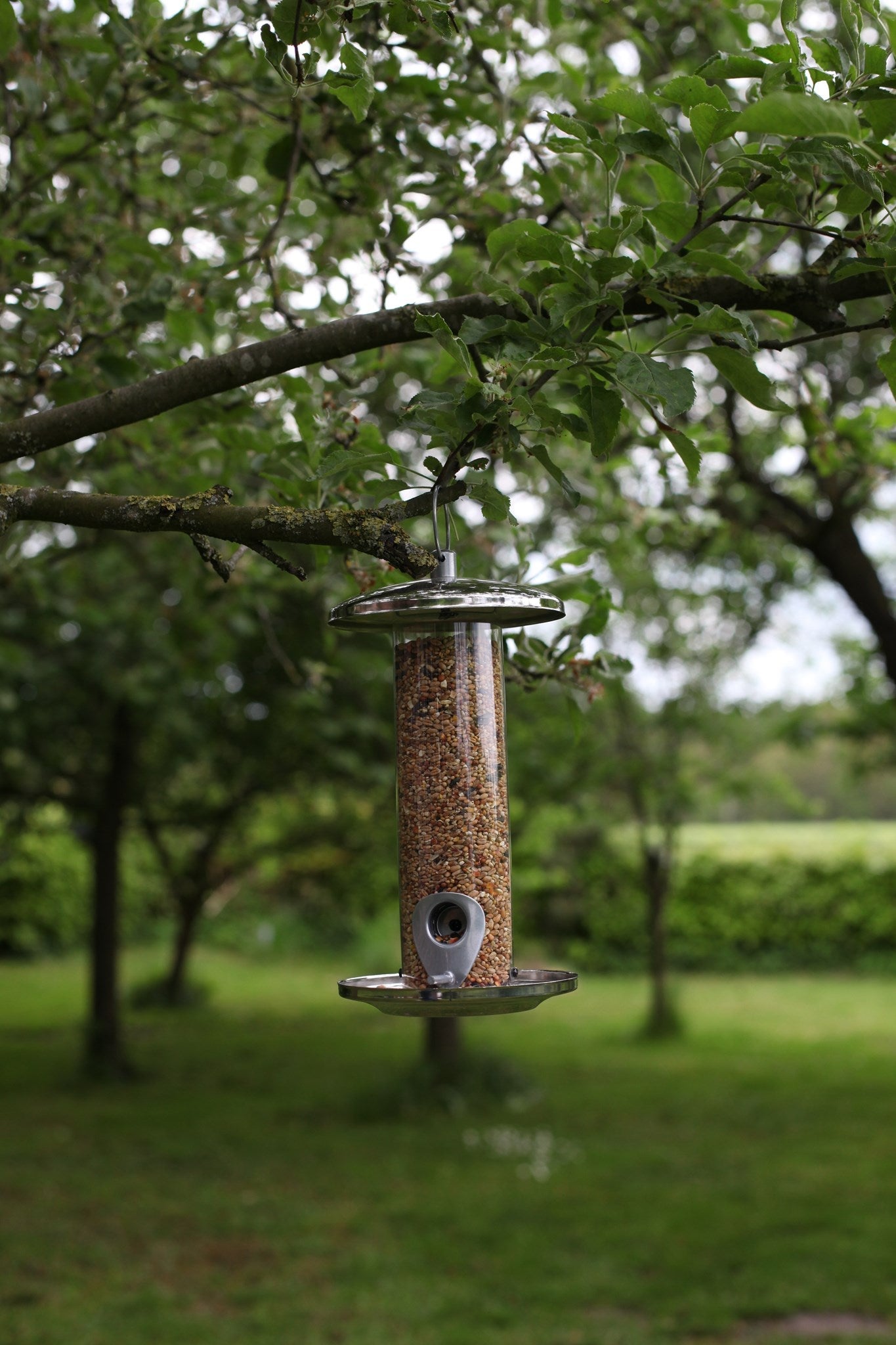 Stainless Steel Seed Feeder, Excl. Bird Food