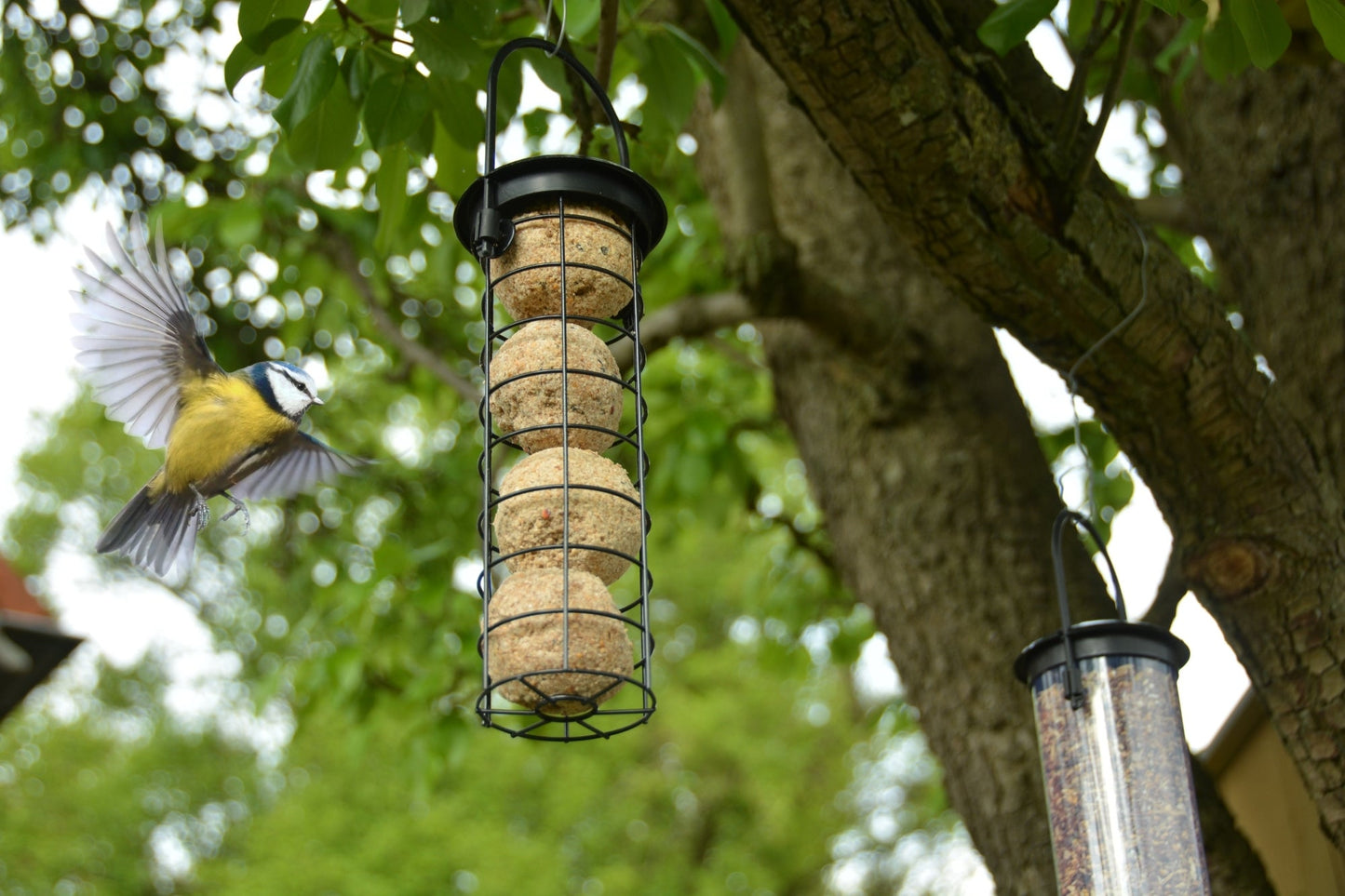 Suet Ball Dispenser, Excl. Bird Food