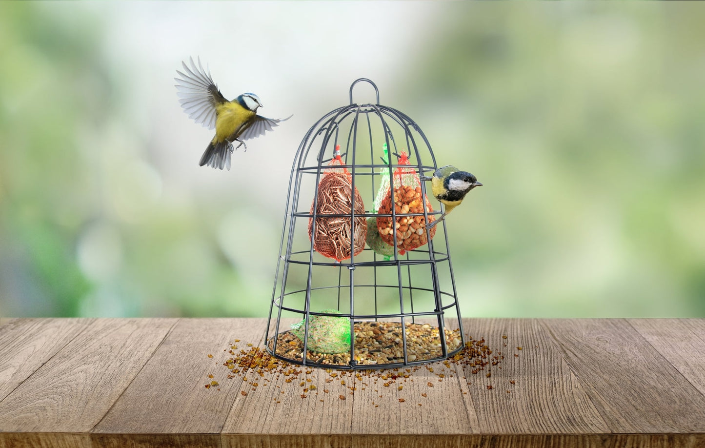 Bird Food Cage Including Bird Food