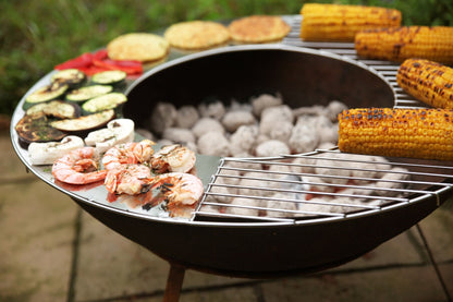 BBQ Grill/Griddle