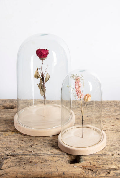 Glass Cloche On Wooden Base L