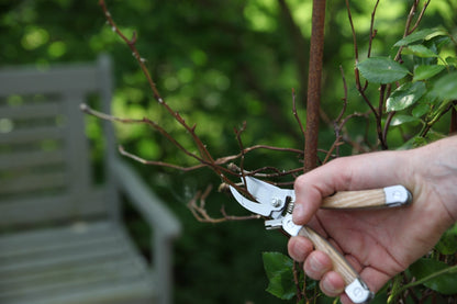 Stainless Steel Garden Multitool