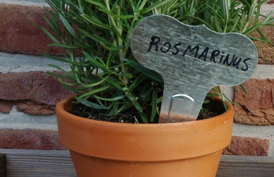 Plant Markers (Set of 6)