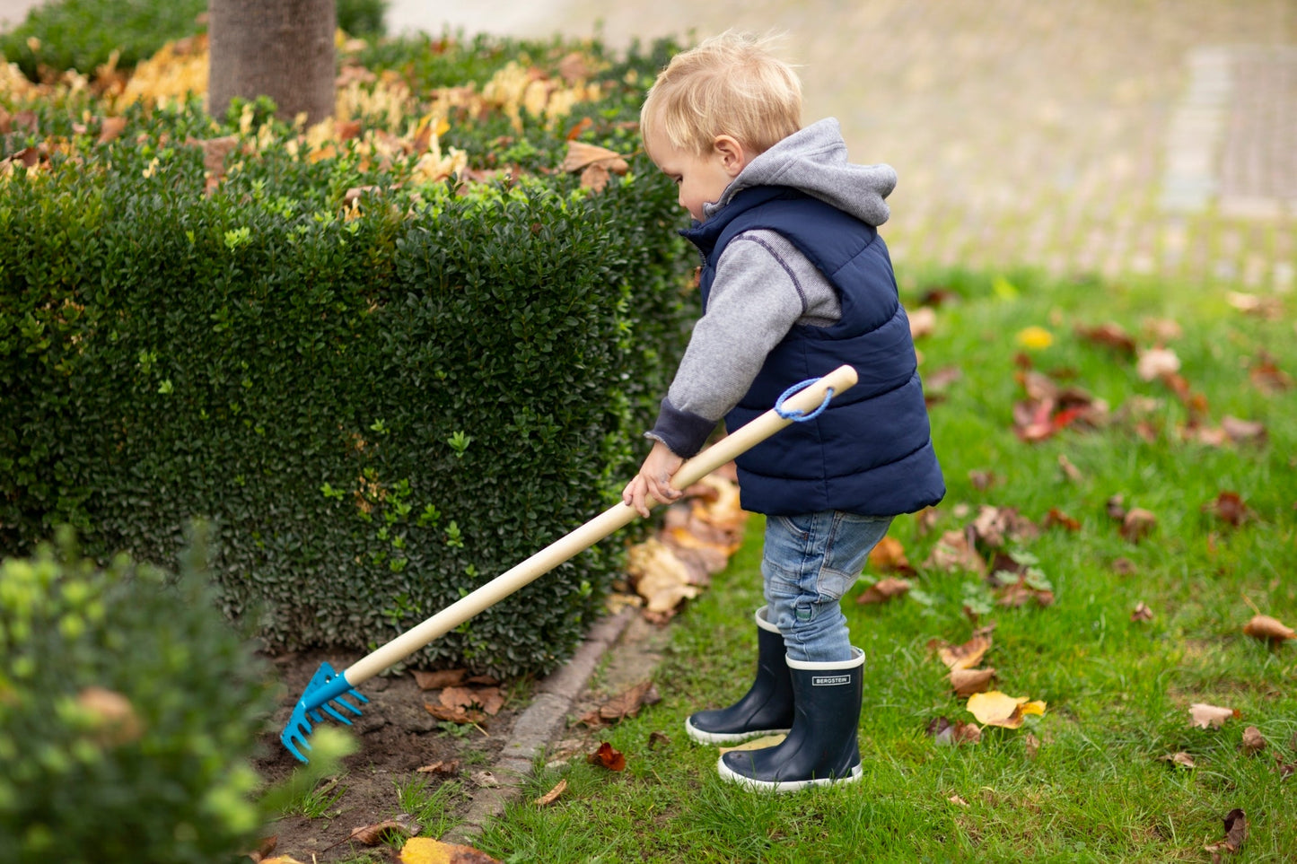 Children's Rake