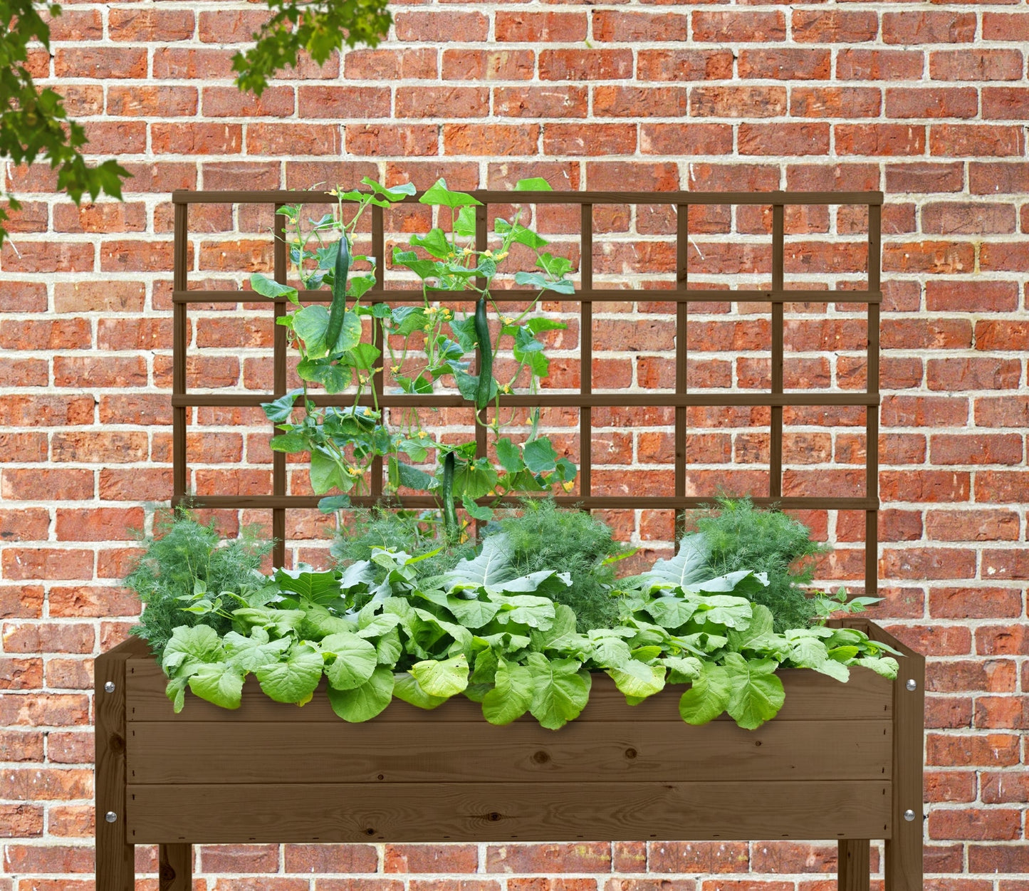 Brown Raised Bed Trellis L