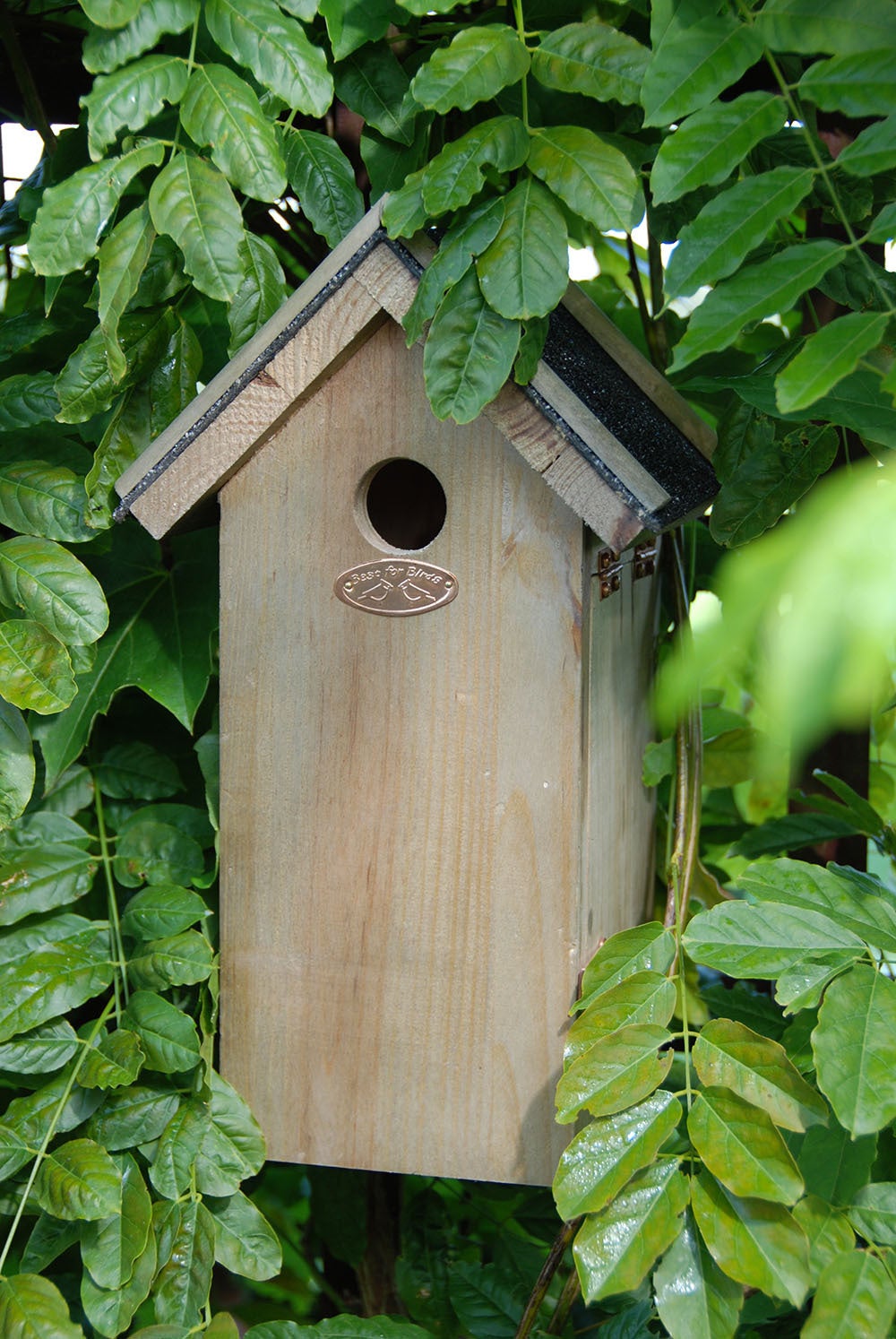 Nest Box Great Tit Bitumen Roof