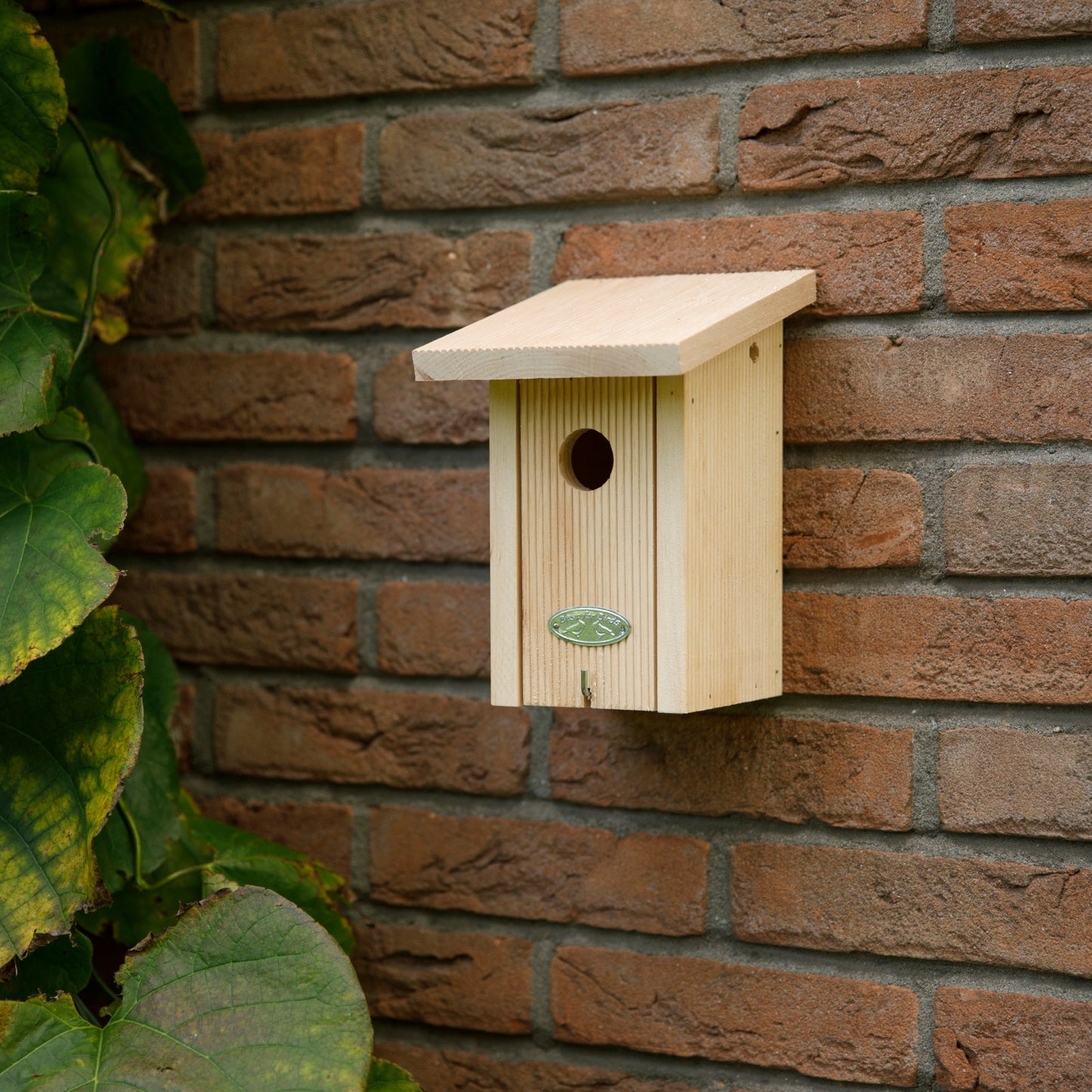 Wren Bird House in Gift Box