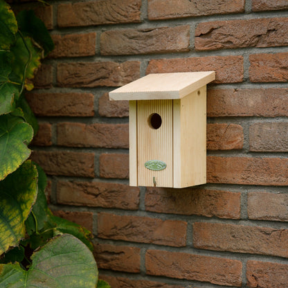 Wren Bird House in Gift Box