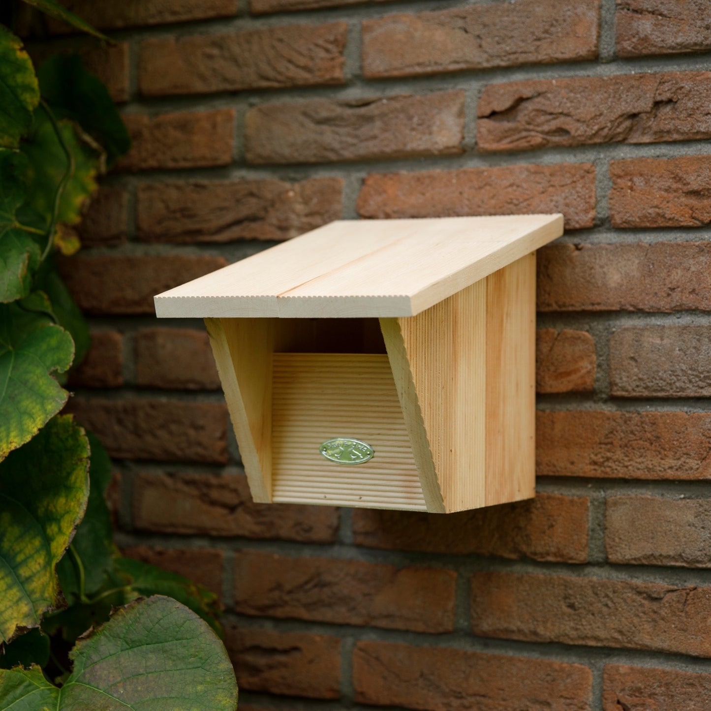 Robin Bird House in Gift Box