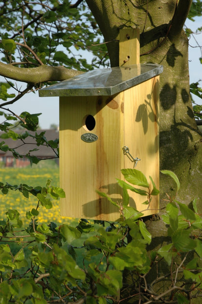 Nest Box Observation