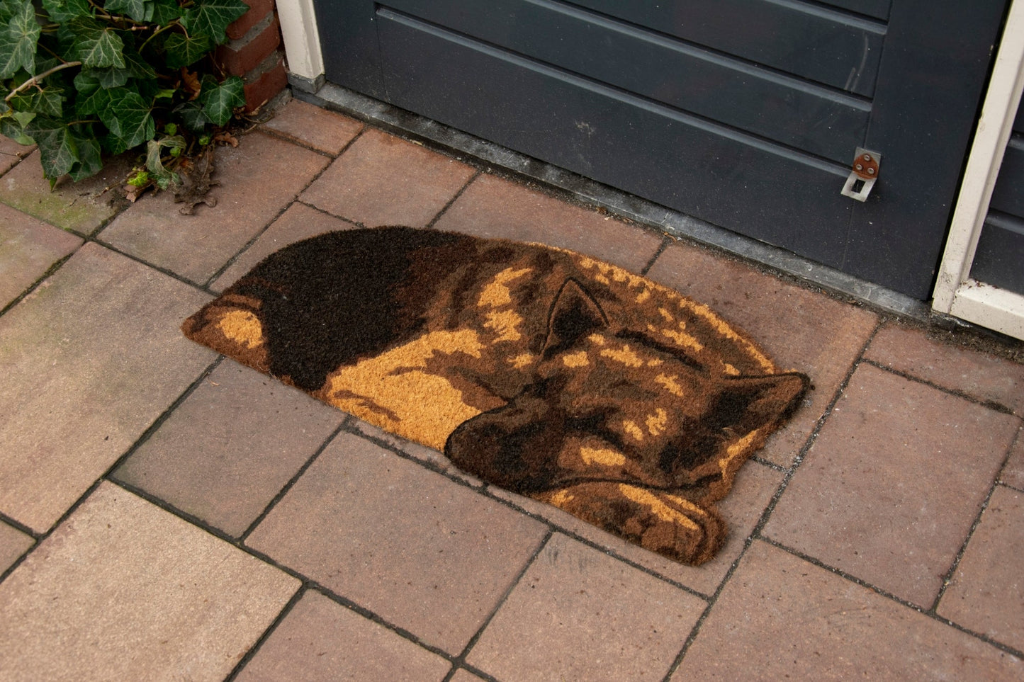 Coir Doormat Sleeping Gard Dog