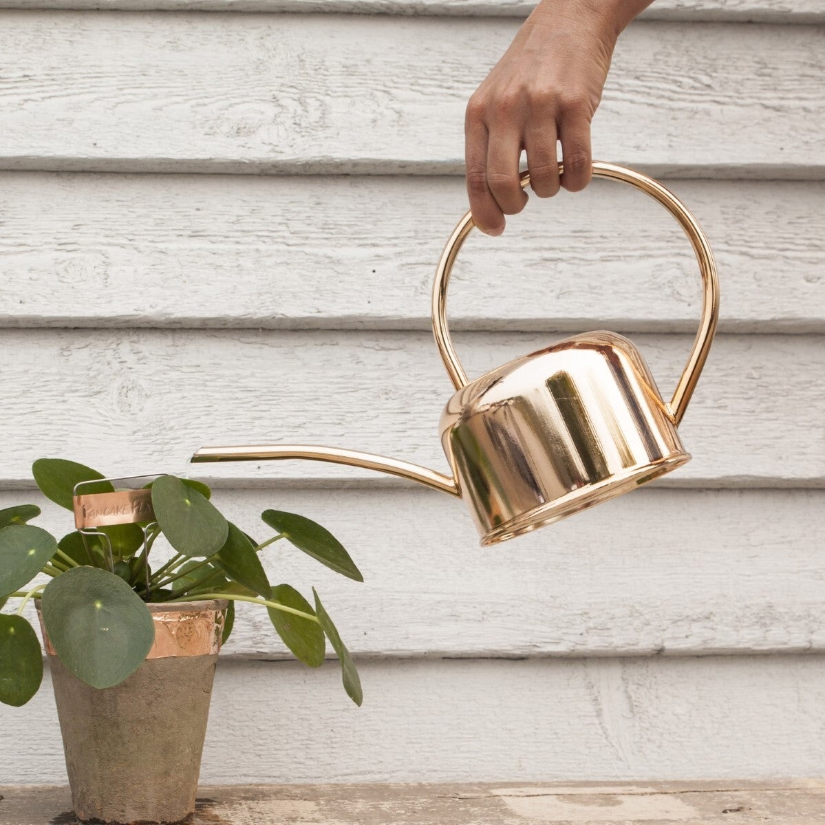 Watering Can Gold