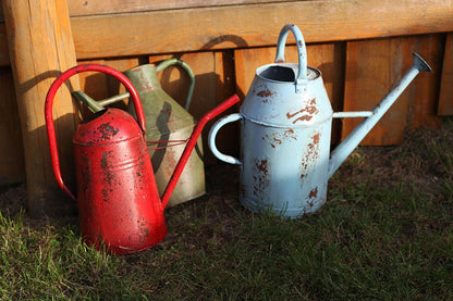 Vintage Watering Can S ~ Assorted, 25% Off