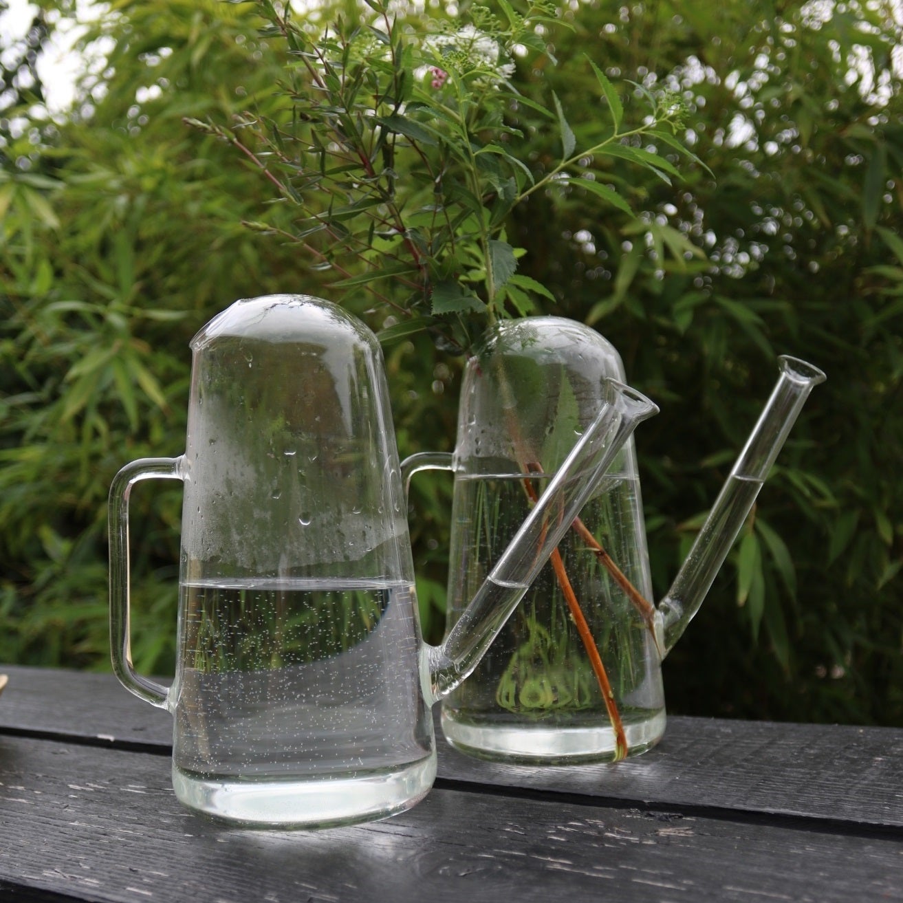 Indoor Watering Can Glass