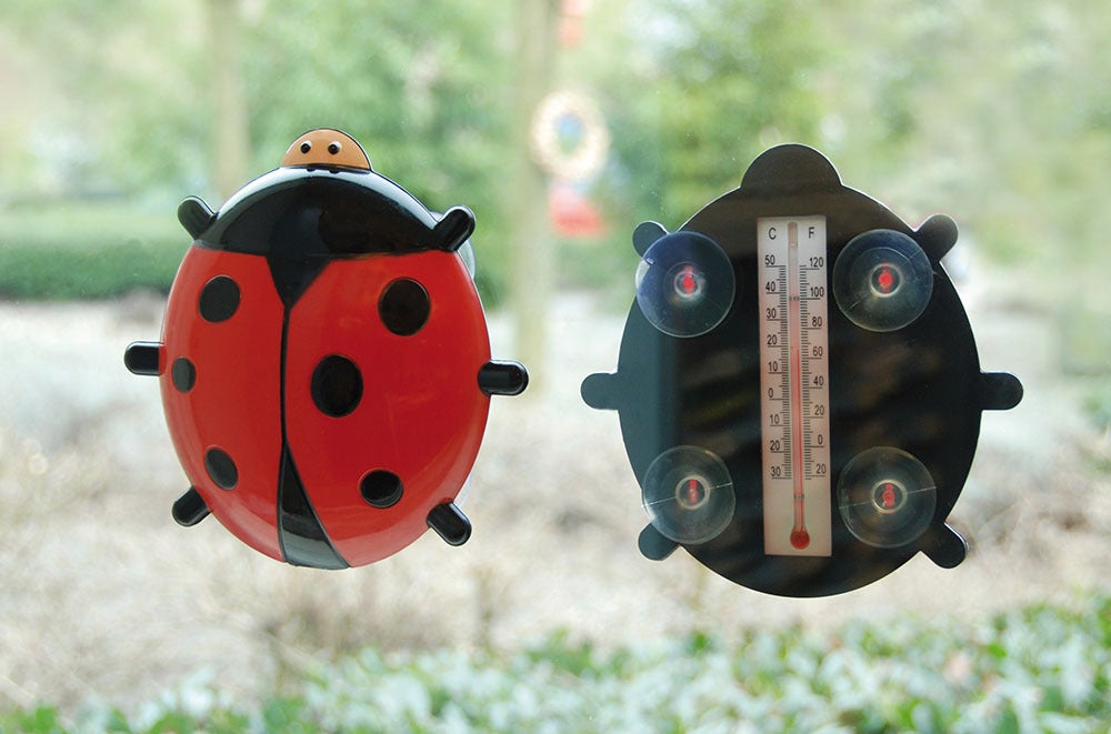 Ladybird Window Thermometer