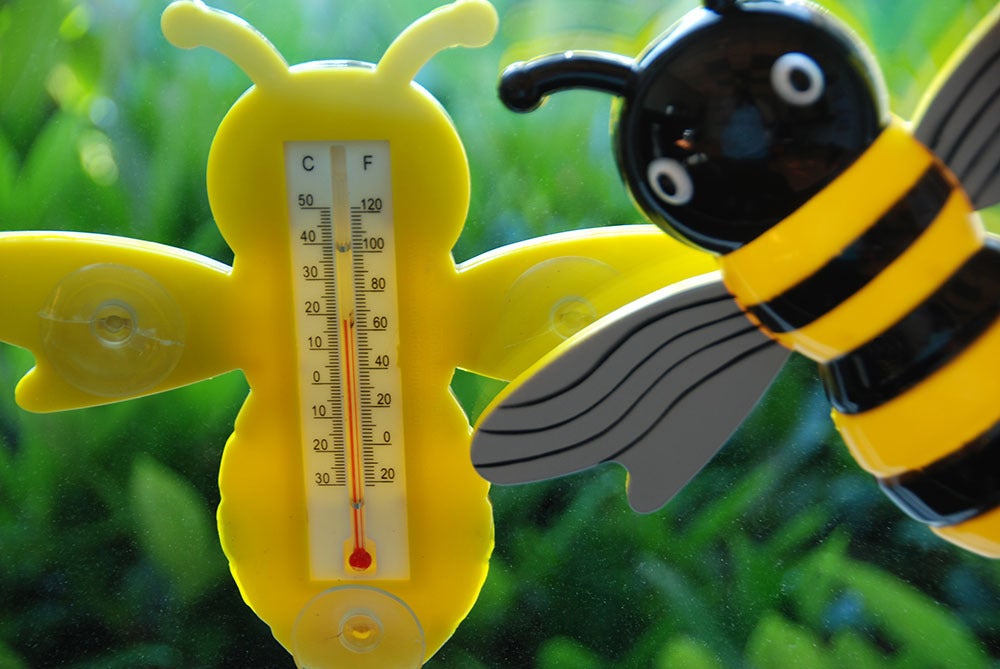 Bee Window Thermometer