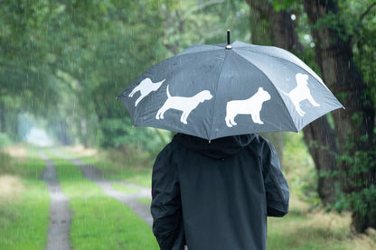 Umbrella Reflector Dogs