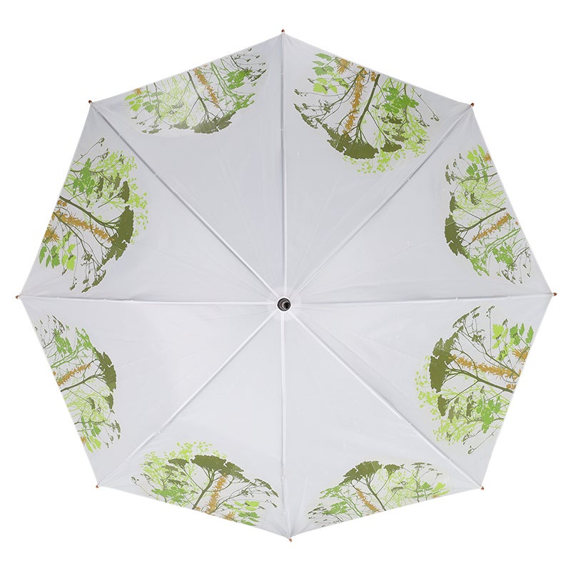 Herb Umbrella